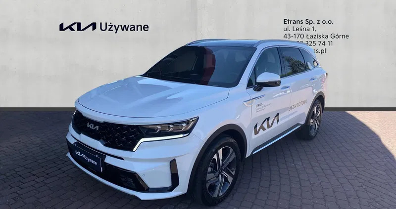 kia sorento Kia Sorento cena 234000 przebieg: 2000, rok produkcji 2023 z Żary